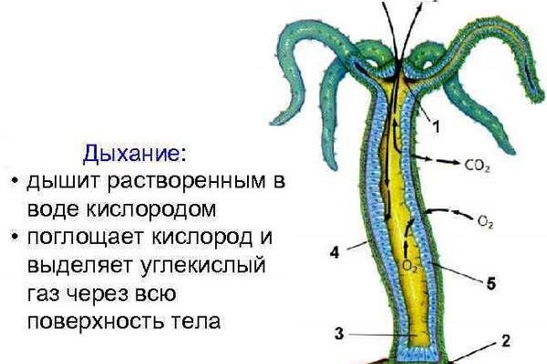 Сайт кракен россия